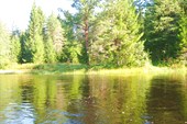 IMG_2829 - копия - копия - копия - копия - копия
